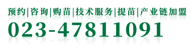 重慶奔象果業(yè)有限公司